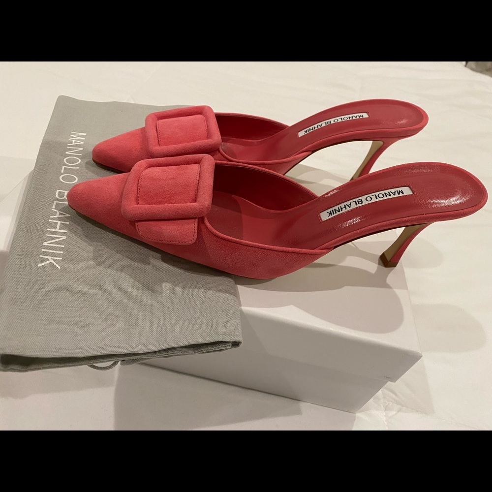 Manolo Blahnik Maysalebi Buckle Pointed *NEW*